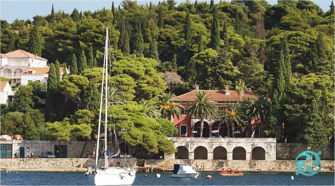 Luxury Apartment Antonija-Old Town Cavtat Kültér fotó